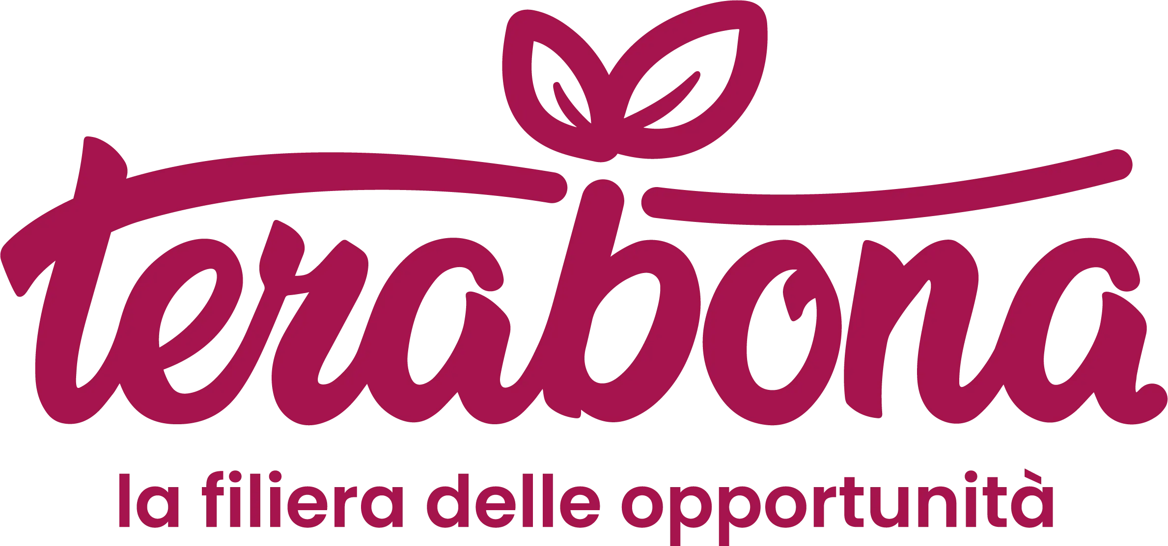 TERABONA SCARL